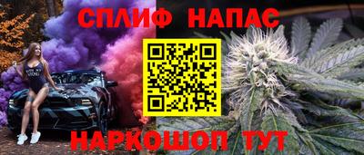 стафф Новокубанск