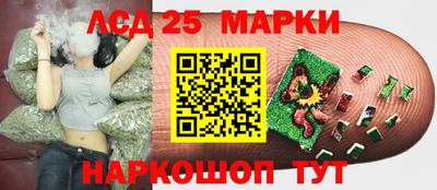стафф Новокубанск