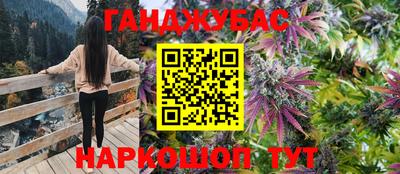 амф Новозыбков
