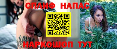 стафф Новокубанск
