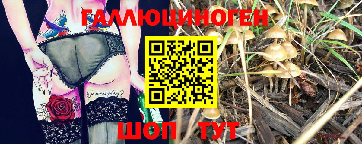 Галлюциногенные грибы Psilocybe  Вход с VPN  Улан-Удэ  Галлюциногенные грибы GOLDEN TEACHER 