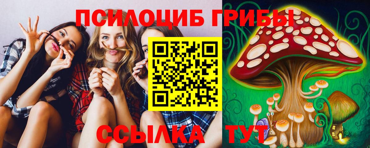 Псилоцибиновые грибы мухоморы Улан-Удэ